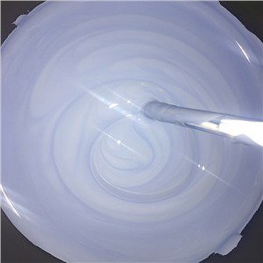 বিএন লেপ